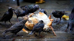 025_Snapshot (5) (640x360)